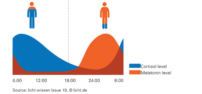 Cortisol melatonin relationship